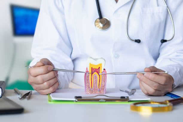 Emergency Dentist for Kids in CT